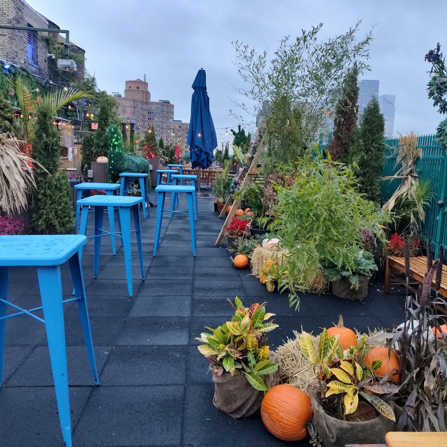 Creature's Rooftop - Rooftop bar in Chelsea, New York City, United States