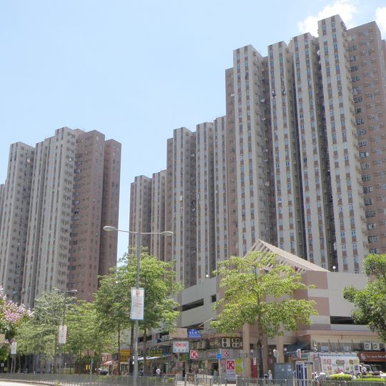 Carado Garden