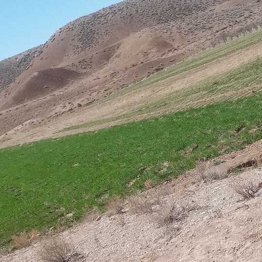 Behouyeh