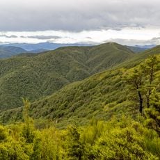 Mount Thomas Forest Conservation Area