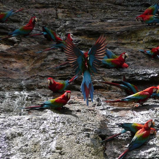 Provincia di Ucayali