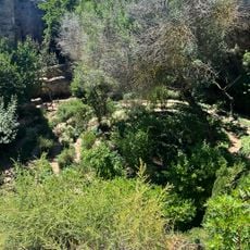 Labyrinth of plants