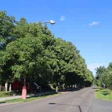 Po památných stromech obce Hořátev