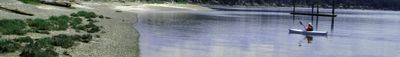Panoramic View 1