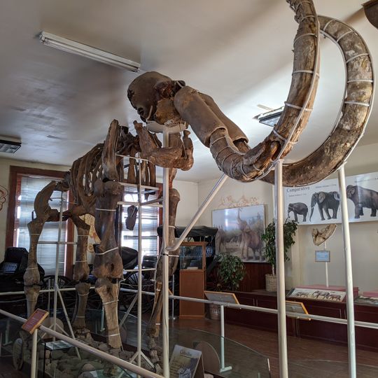 Museo del Mamút