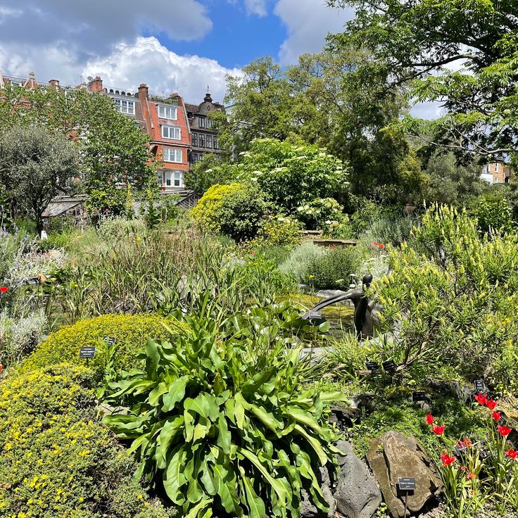 Chelsea Physic Garden