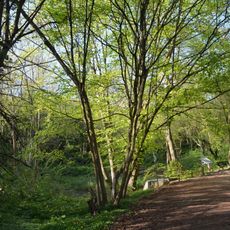 Mühlbachtal von Bergen-Enkheim