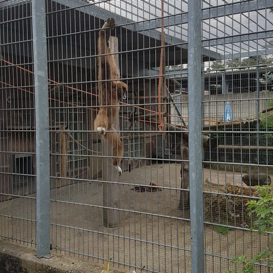 Jura-Zoo