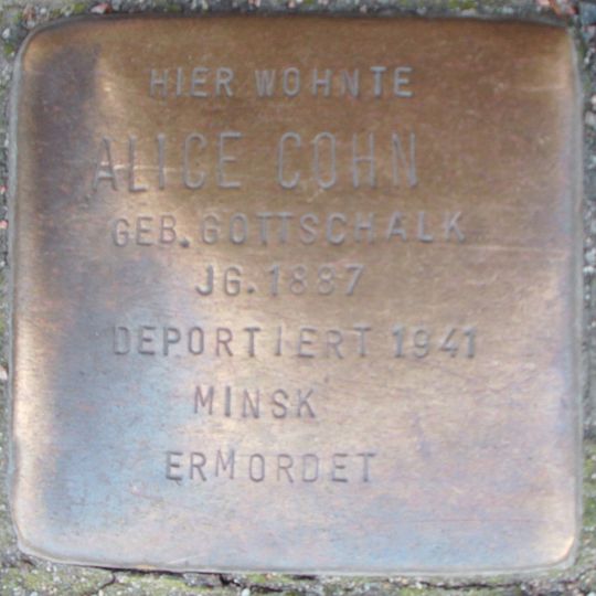 Stolperstein dedicated to Alice Cohn