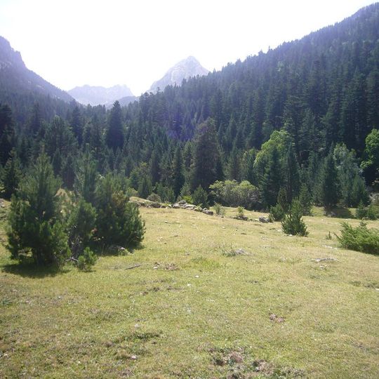 Planell de Sant Esperit