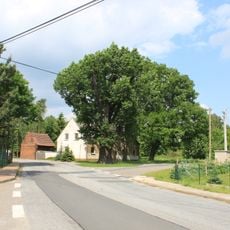 Naturdenkmal  Stieleiche Dorfstraße; Flur 1, Flurstück 265 in Hillmersdorf