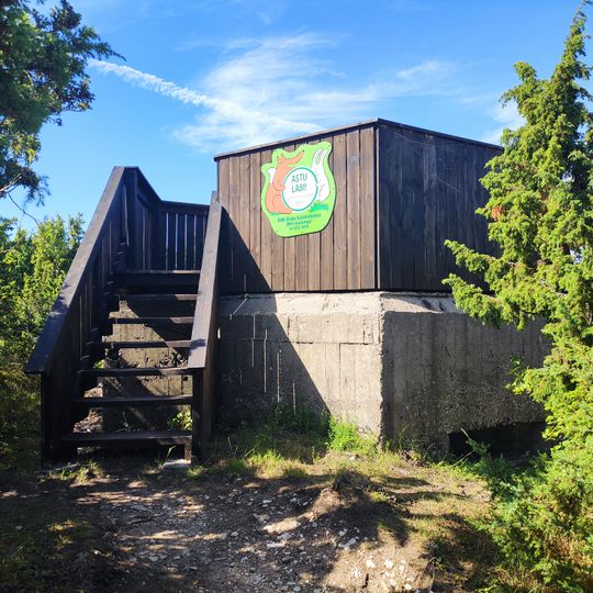 Suuresadama wieża widokowa