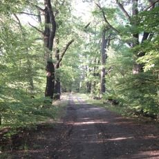 Nature reserve Łężczok