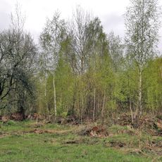 Производственный корпус (Новая Заря)