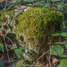 Grenzstein Untere Gemeinde in Fürth