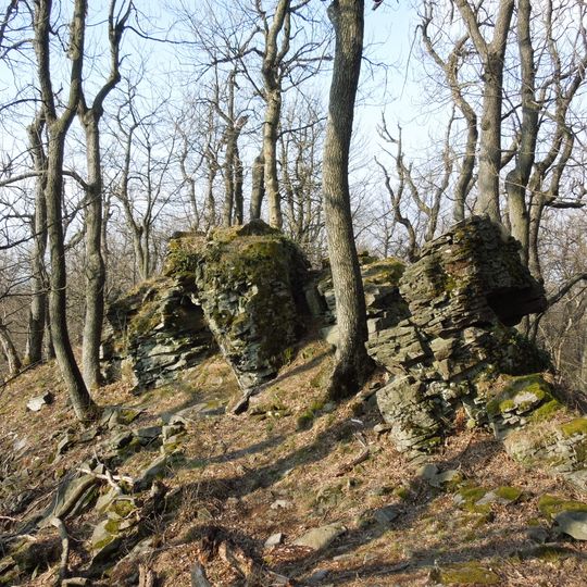 Rezerwat przyrody Kyjovský prales