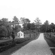 Lyngsåsa