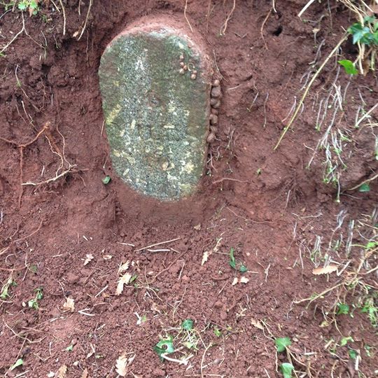 Milestone, on private drive to Newhall Equestrian Centre, 120m N of jct with main road