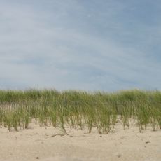 Delaware Seashore State Park