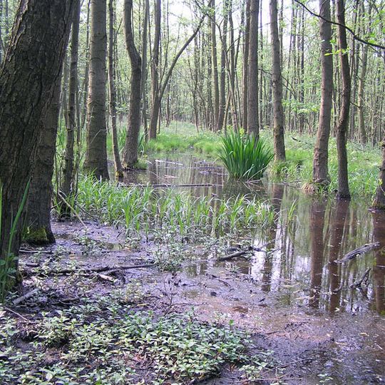 Siebengebirge Teilgebiet Ennert
