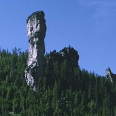 Forêt nationale d'Ochoco