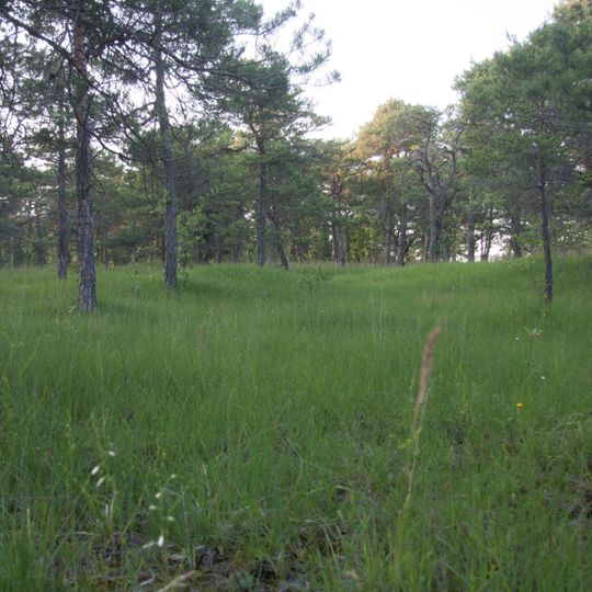 Höhfeldplatte und Scharlachberg