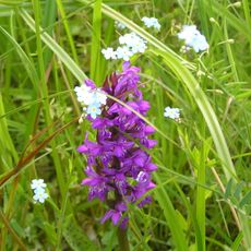 Žďár u Chodského Újezda