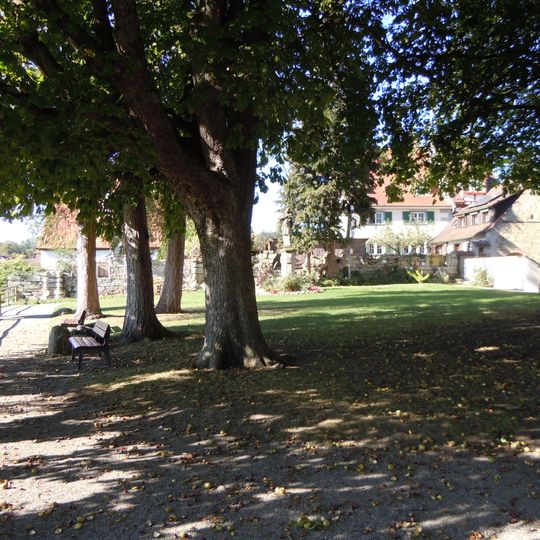 Alter Baumbestand: 3 Lärchen, 2 Kastanien u. Esche