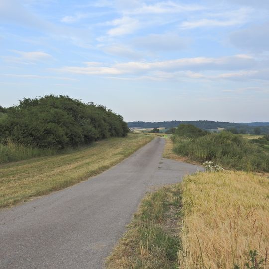 2 Heckenzüge und Magerrasen im Honhardter Bühl