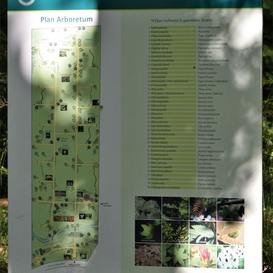 Arboretum in Karnieszewice