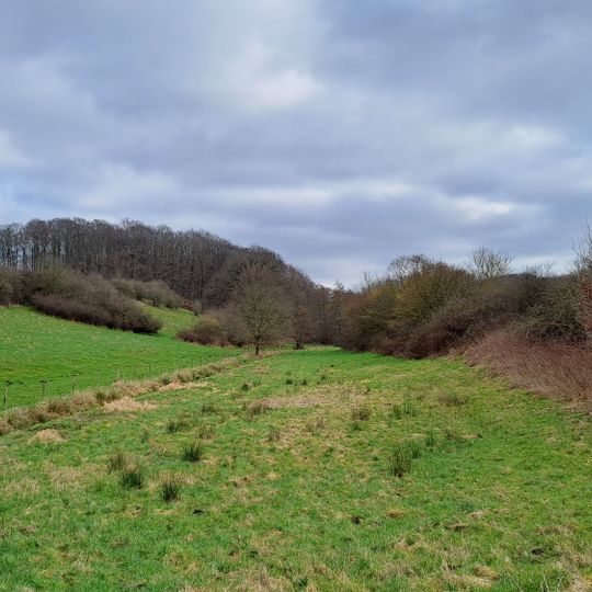 Kolksee bei Schellhorn