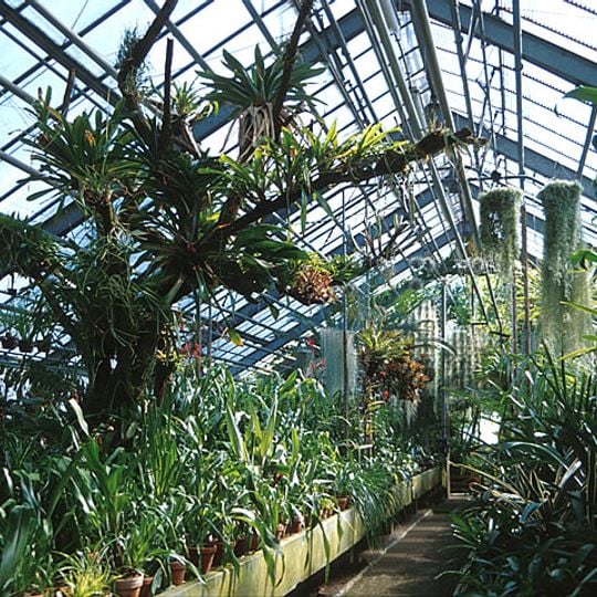 Botanischer Garten der Universität Heidelberg