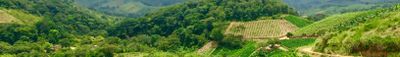 Panoramic View 0