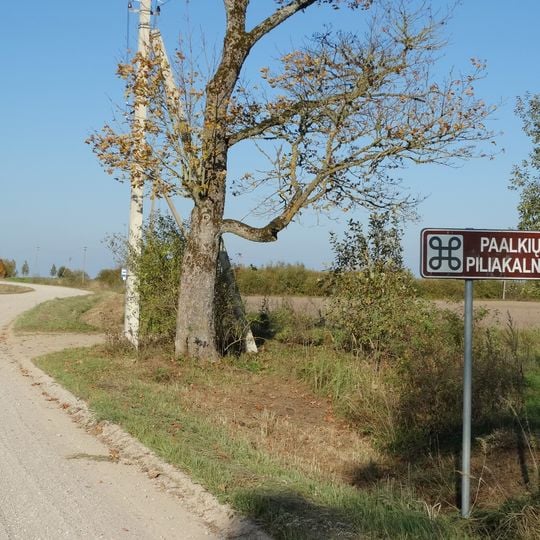 Paalkių piliakalnis