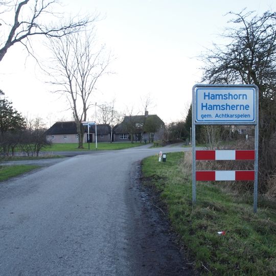 Hamshorn