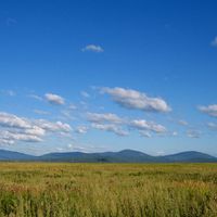 Chernigovsky District