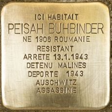 Peisah Buhbinder
