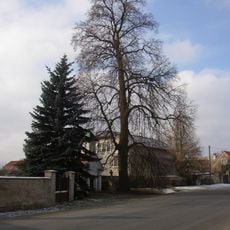 Lípa ve Pticích