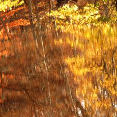 Rock Creek Park