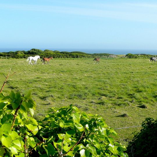 Portland open fields