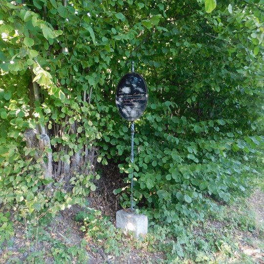 Obrázek černého psa Kazana u Andělské Hory