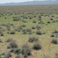 distretto di Konimekh