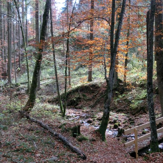 Rohrbachtobel im Wierlinger Forst