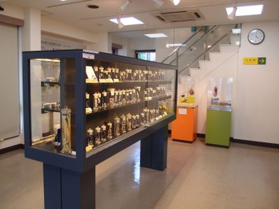 Interior 1