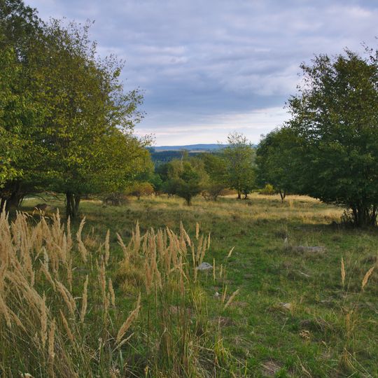 Synalovské kopaniny