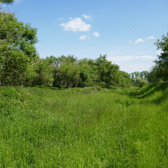 NSG Ehemalige Klaerteiche an der Zuckerfabrik Soest