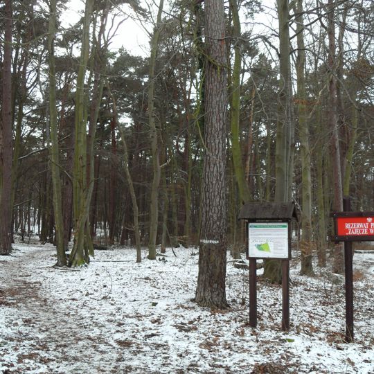 Rezerwat przyrody Zajęcze Wzgórze