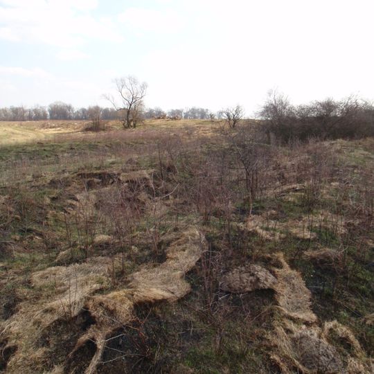 Cmentarz żydowski w Ryczywole