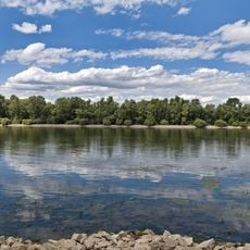Rheinniederung Mainz-Bingen