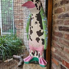 Pinguin